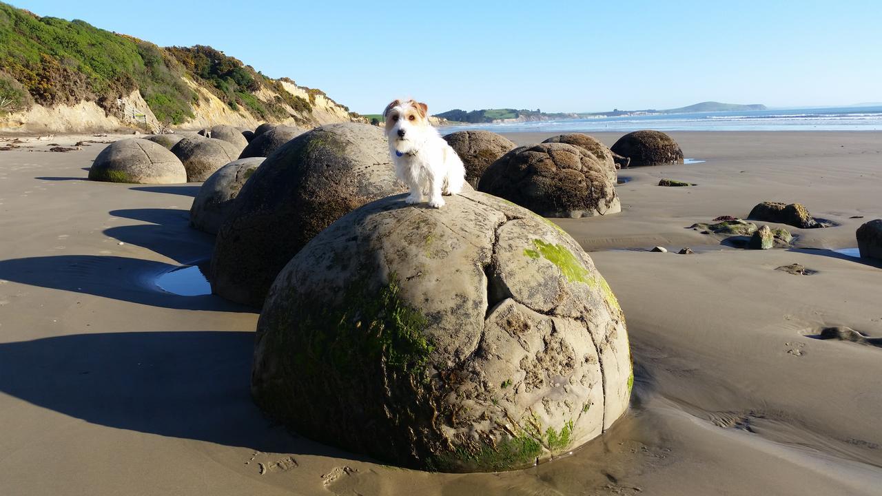 Moeraki Boulders Motel Hampden Exteriér fotografie